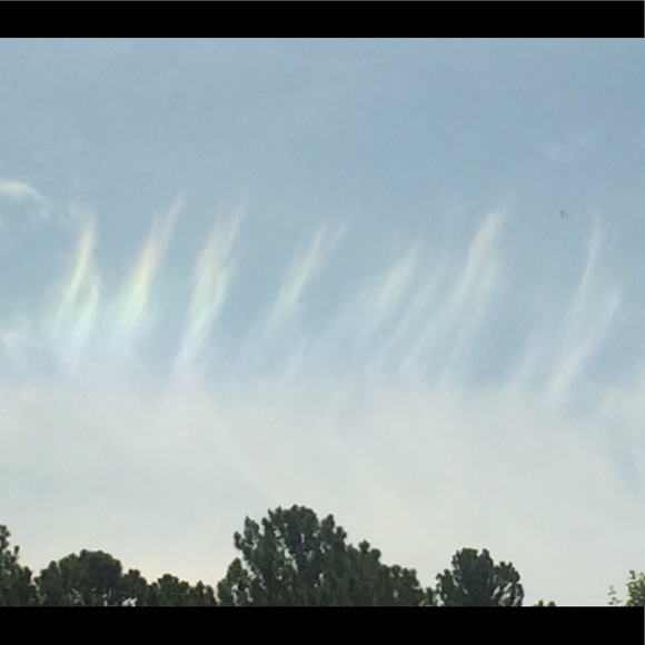 Meet your Posher, Erin - Picture 7 of 8